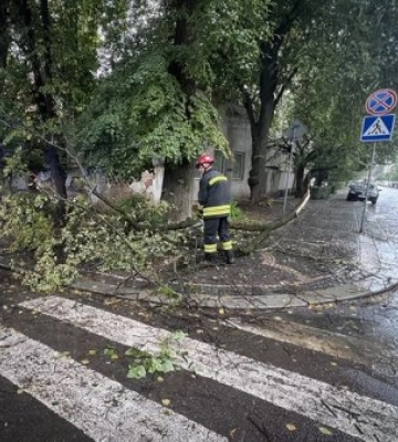 Вчора в Ужгороді на вулицях Дворжака та Довженка сильний вітер наробив біди