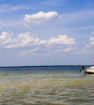 Температура води в озері: коли найкращий час для комфортного відпочинку на Світязі