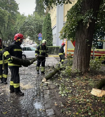 Вчора в Ужгороді на вулицях Дворжака та Довженка сильний вітер наробив біди
