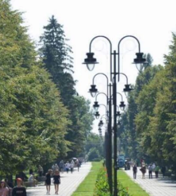 У центральному парку Луцька працює поліція: що сталося