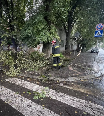 В Ужгороді рятувальники ліквідовували наслідки сильного вітру