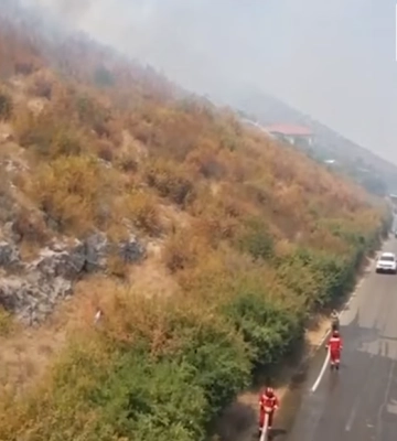 В Албанії та Хорватії триває боротьба з лісовими пожежами