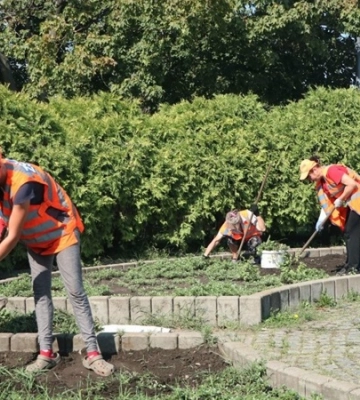 Полив дерев та кущів, прополювання і розпушування ґрунту: у Дніпрі КП «Міськзеленбуд» щоденно доглядає за зеленими насадженнями