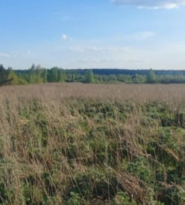 Під Луцьком хочуть здати в оренду понад 15 гектарів землі сільськогосподарського призначення