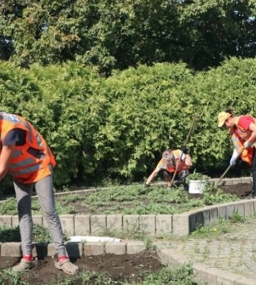 Догляд за зеленими насадженнями Дніпра. У КП «Міськзеленбуд» розказали про свою роботу