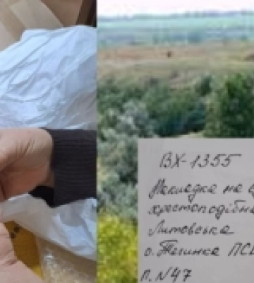 У Херсоні зацифрують артефакти, знайдені під час розкопок на острові Велике Городище