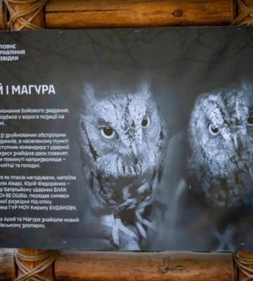 У Київському зоопарку житимуть «штатні» сови ГУР