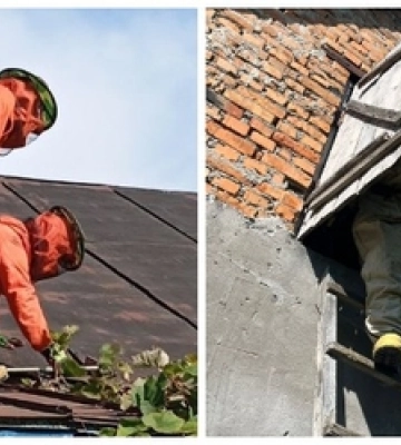 На Волині знешкодили десяток гнізд небезпечних комах 