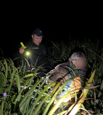 На Волині вночі з собаками і дронами шукали в лісі бабусю 