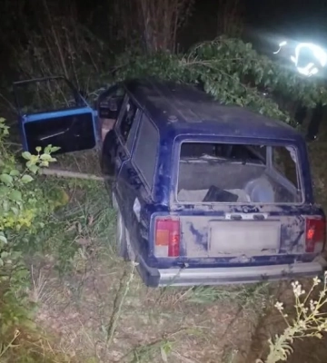 Загинув пасажир й травмувалася дитина: на Миколаївщині водійка не впоралась із керуванням