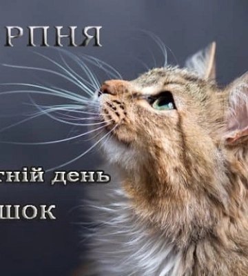 8 серпня - події дня та свята