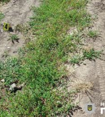 На Полтавщині затримали чоловіка, причетного до вбивства жінки