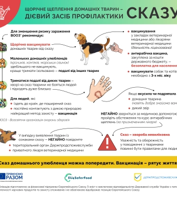 У Дніпропетровській області лисиця зі сказом нападає на дворових собак