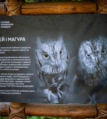 У Київському зоопарку житимуть «штатні» сови ГУР