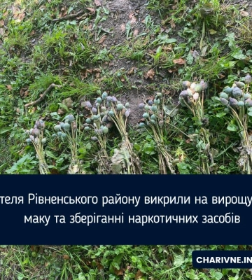 У Рівненському районі поліцейський офіцер громади викрив місцевого жителя на вирощуванні маку та зберіганні наркотичних засобів