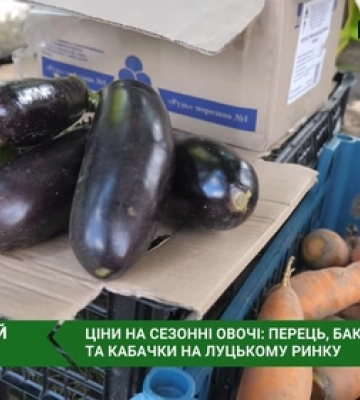 Які ціни на перець, баклажани та кабачки на луцькому ринку (відео)