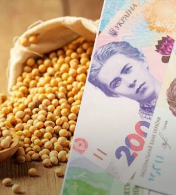 В Україні зросли експортні ціни на сою