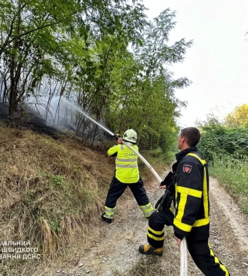 Впродовж доби надзвичайники Дніпропетровщини загасили понад 60 пожеж в екосистемах