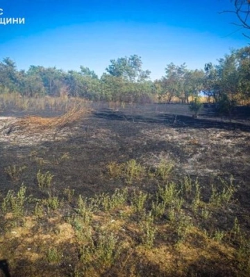 На Одещині за спалювання сухої рослинності жінка заплатить чималий штраф