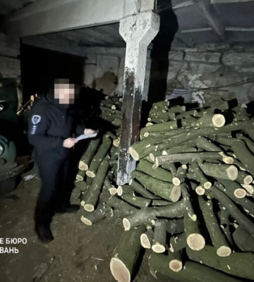 Допустив незаконну вирубку дерев у заповіднику: на Вінниччині майстру лісу повідомили про підозру