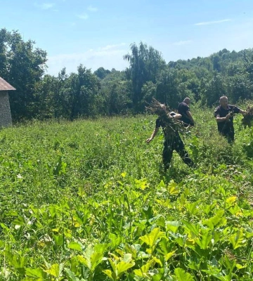 У Рівненському районі поліцейський офіцер громади викрив місцевого жителя на вирощуванні маку та зберіганні наркотичних засобів