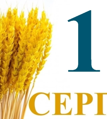 Сьогодні 10 серпня: яке свято та день в історії