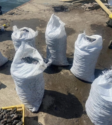 На Одещині браконьєри наловили мідій на понад сто тисяч гривень