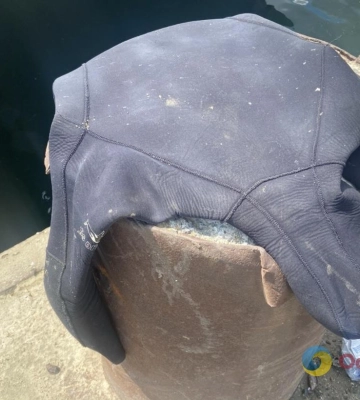 На Одещині браконьєри наловили мідій на понад сто тисяч гривень