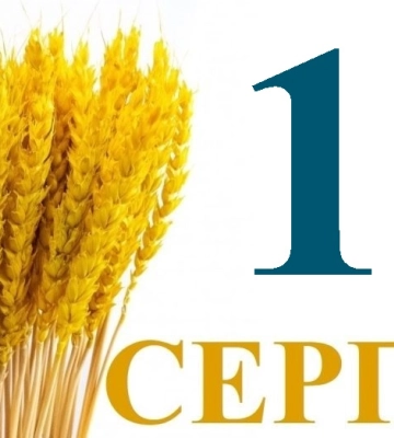 Сьогодні 11 серпня: яке свято та день в історії