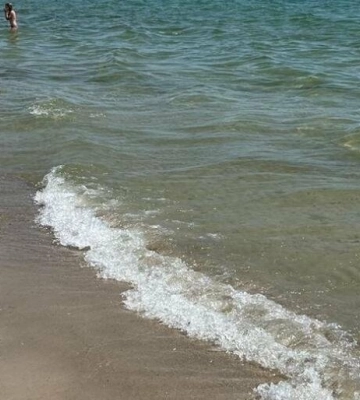 Стан морської води біля пляжів Одеси: «Ланжерон», «Дельфін» та «Lion», в допустимих межах