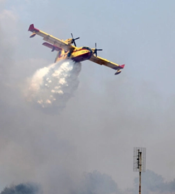 У Греції спалахнула лісова пожежа, для її гасіння задіяли авіацію