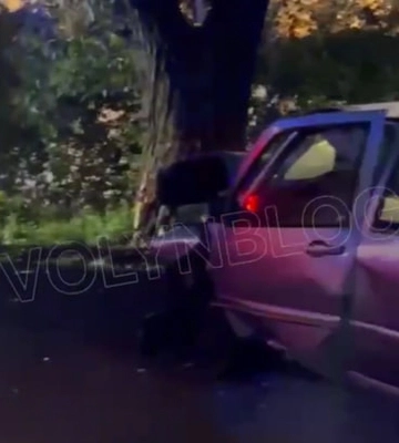 Зім'яло «передок»:  під Луцьком водій легковика на швидкості влетів в дерево (відео)