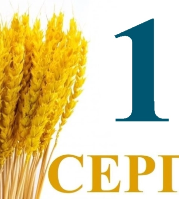 Сьогодні 12 серпня: яке свято та день в історії