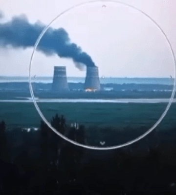 У МАГАТЕ відрегували на пожежу на Запорізькій АЕС