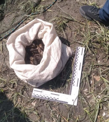 Браконьєр виловив раків на понад 350 000 тис. грн у Кропивницькому районі