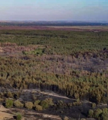 На Миколаївщині внаслідок пожежі в Андріївському урочищі знищені будинки та господарчі споруди