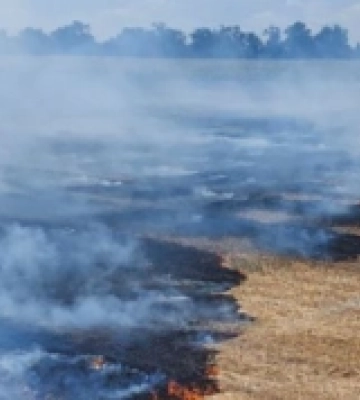 У Миколаївській області вогнеборці за добу ліквідували 39 пожеж