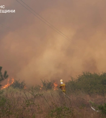 Одеські рятувальники допомагали гасити масштабну лісову пожежу на Миколаївщині