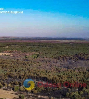 У Миколаївській області вогнеборці за добу ліквідували 39 пожеж