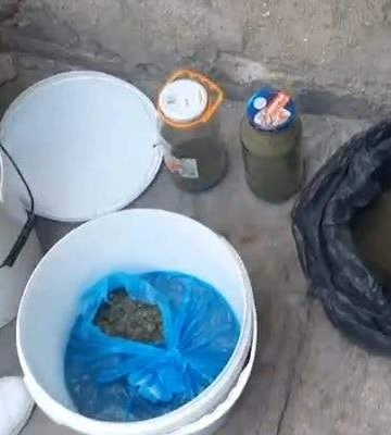 У мешканця Миколаївщини виявили канабісу на понад півтора мільйона гривень