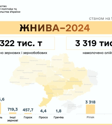 Жнива-2024: намолочено понад 30,6 мільйонів тонн зернових та олійних