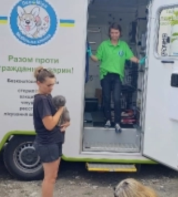 Безкоштовна стерилізація та вакцинація тварин: у громадах Рівненщини впроваджують унікальний проєкт
