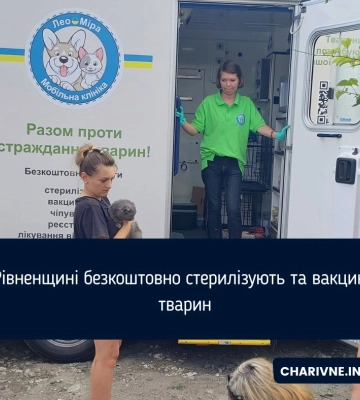 У громадах на Рівненщині безкоштовно стерилізують та щеплюють тварин