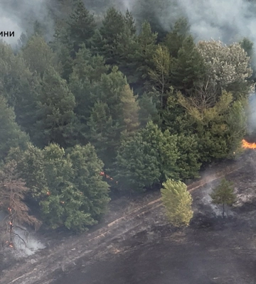 У Балаклійському лісництві сталася пожежа: 30 гектарів лісу у вогні