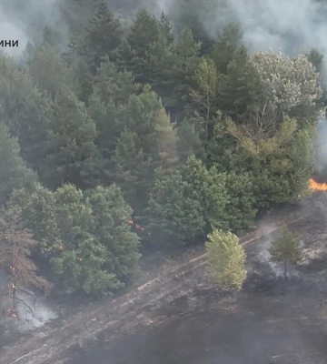 У Балаклійському лісництві сталася пожежа: 30 гектарів лісу у вогні