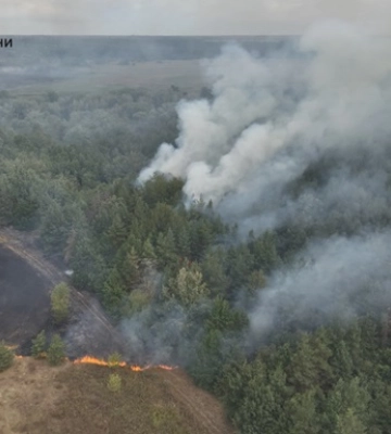 У Балаклійському лісництві сталася пожежа: 30 гектарів лісу у вогні