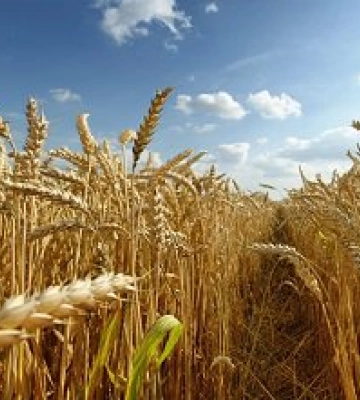14 серпня: дні ангела, традиції та заборони дня