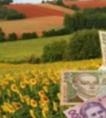 На Кіровоградщині від платників плати за землю надійшло більше 700 мільйонів гривень