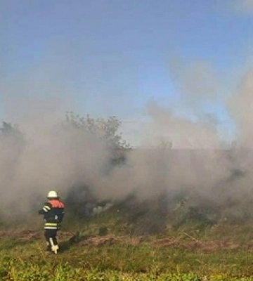 На Волині «товарняк» підпалив 1,5 гектара трави вздовж колій 