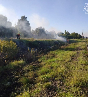 На Волині «товарняк» підпалив 1,5 гектара трави вздовж колій 